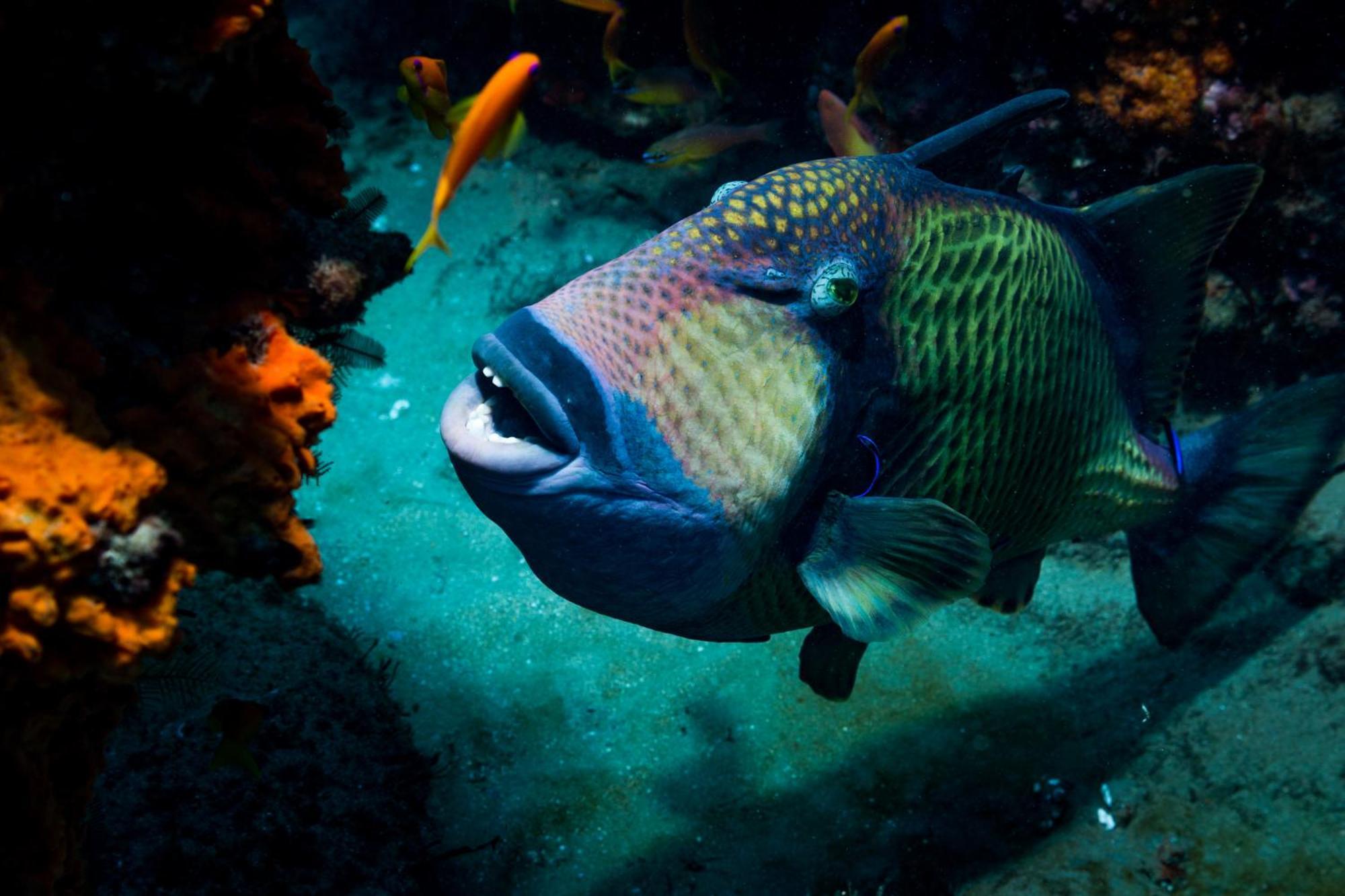 Sodwana Bay Lodge Dive & Fishing Resort Экстерьер фото