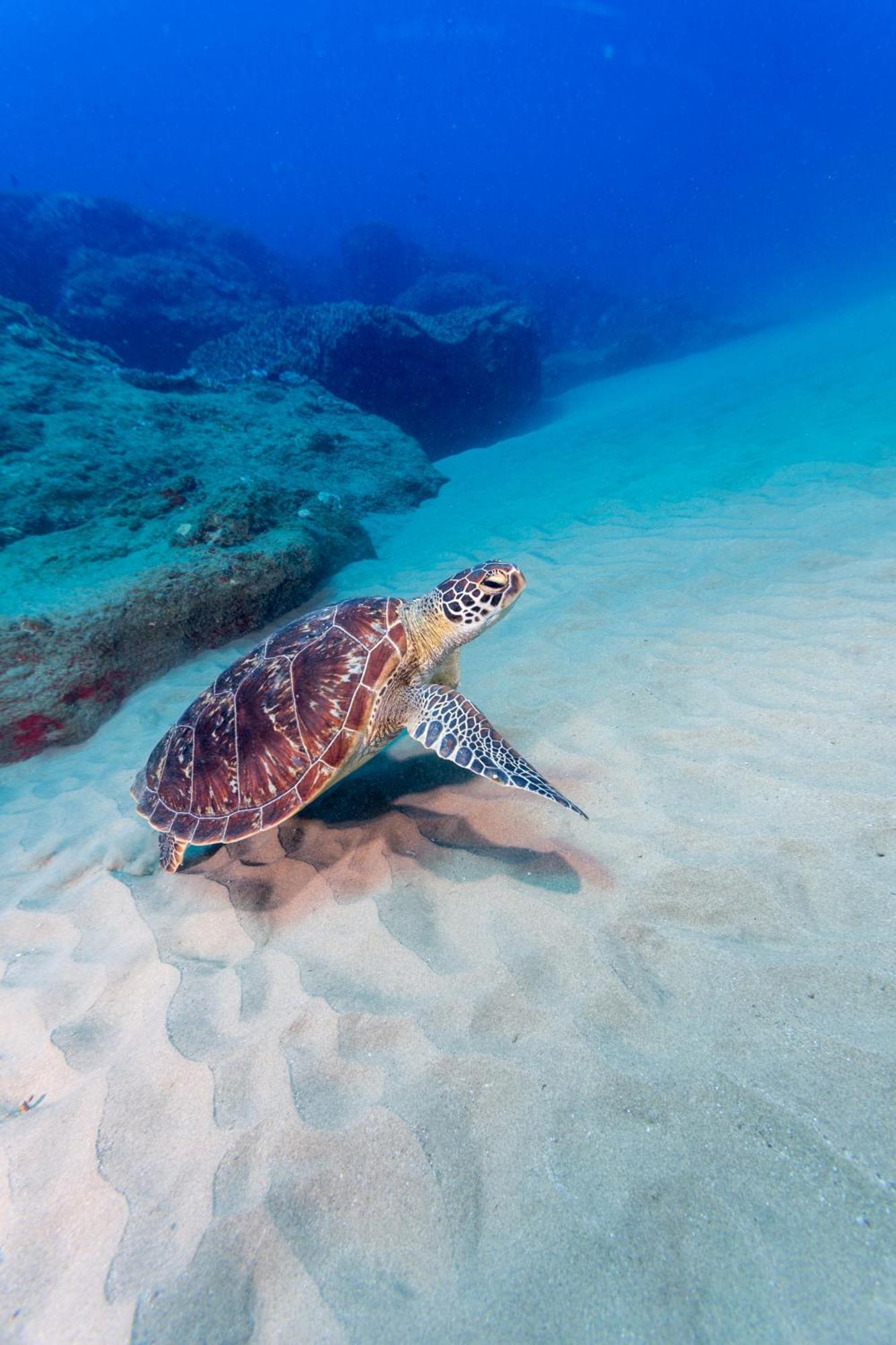 Sodwana Bay Lodge Dive & Fishing Resort Экстерьер фото